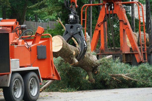 Seasonal Cleanup (Spring/Fall) in Morristown, IN